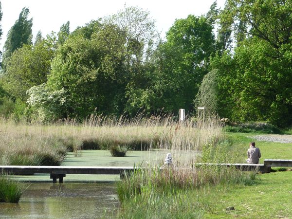 Ecological Restoration