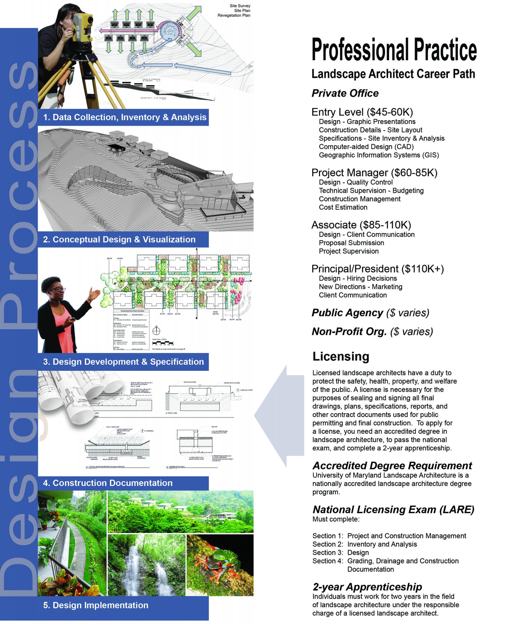 Professional Practice