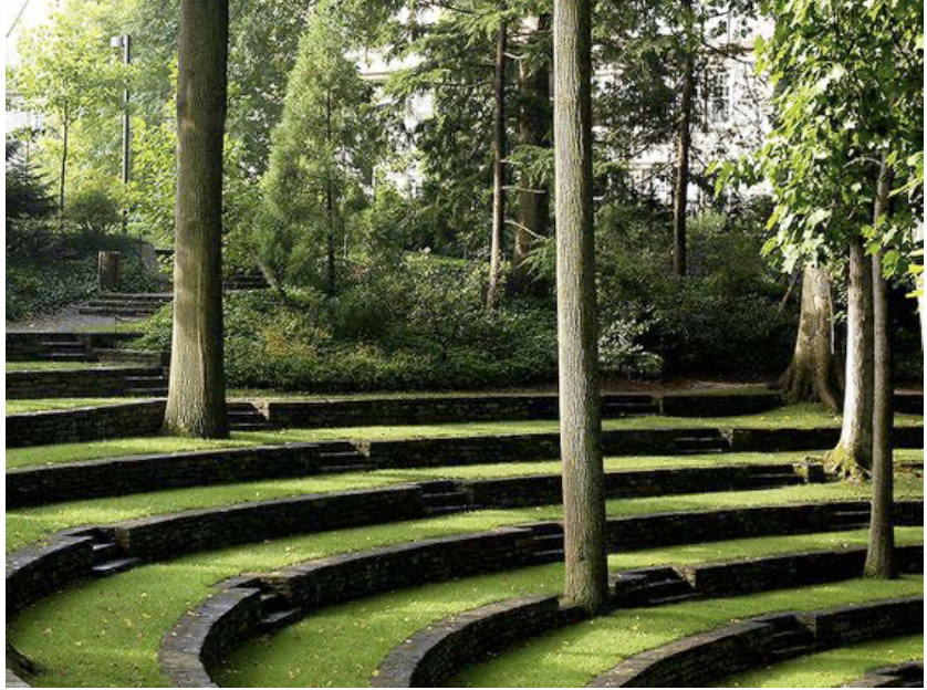 Steps between trees