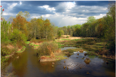 Beaver Dam Creek