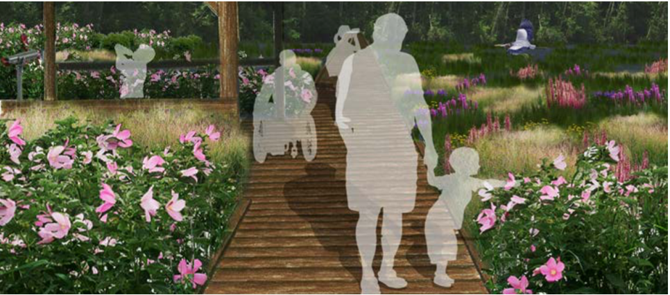 Improved Walkway and Marsh
