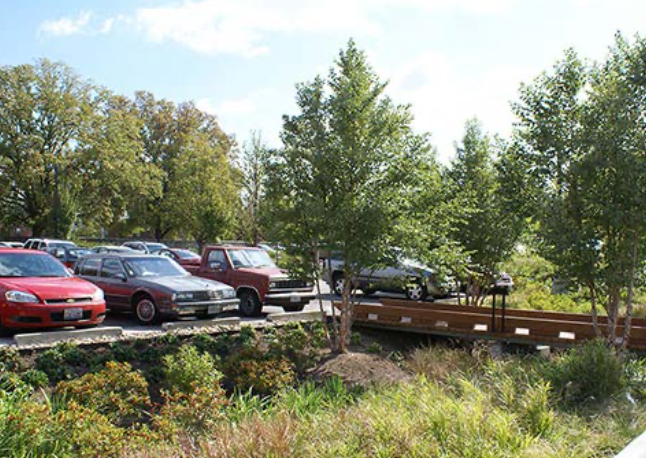 paring lot with trees