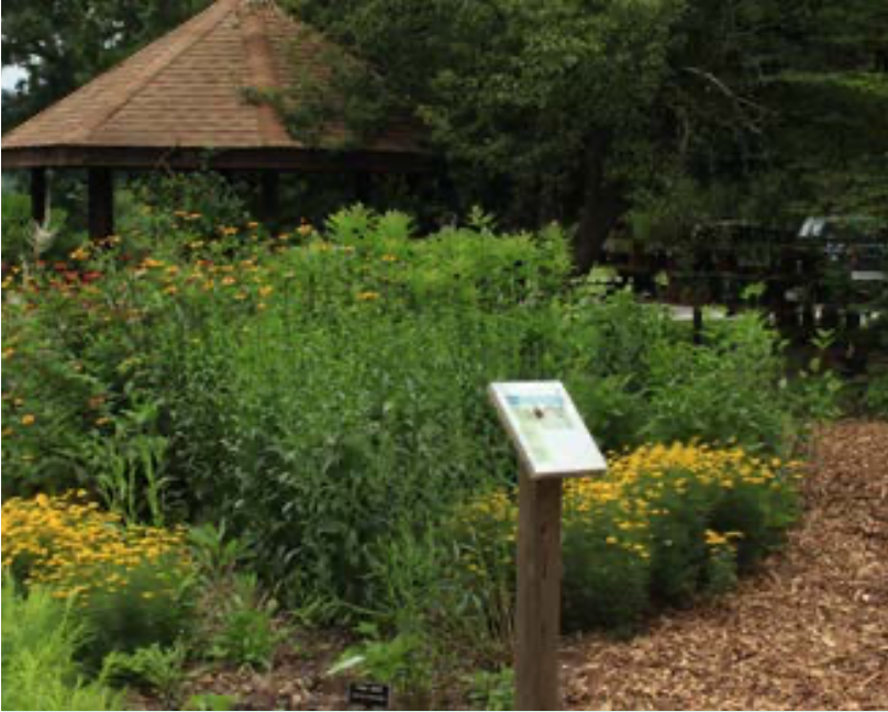 educational native plant display