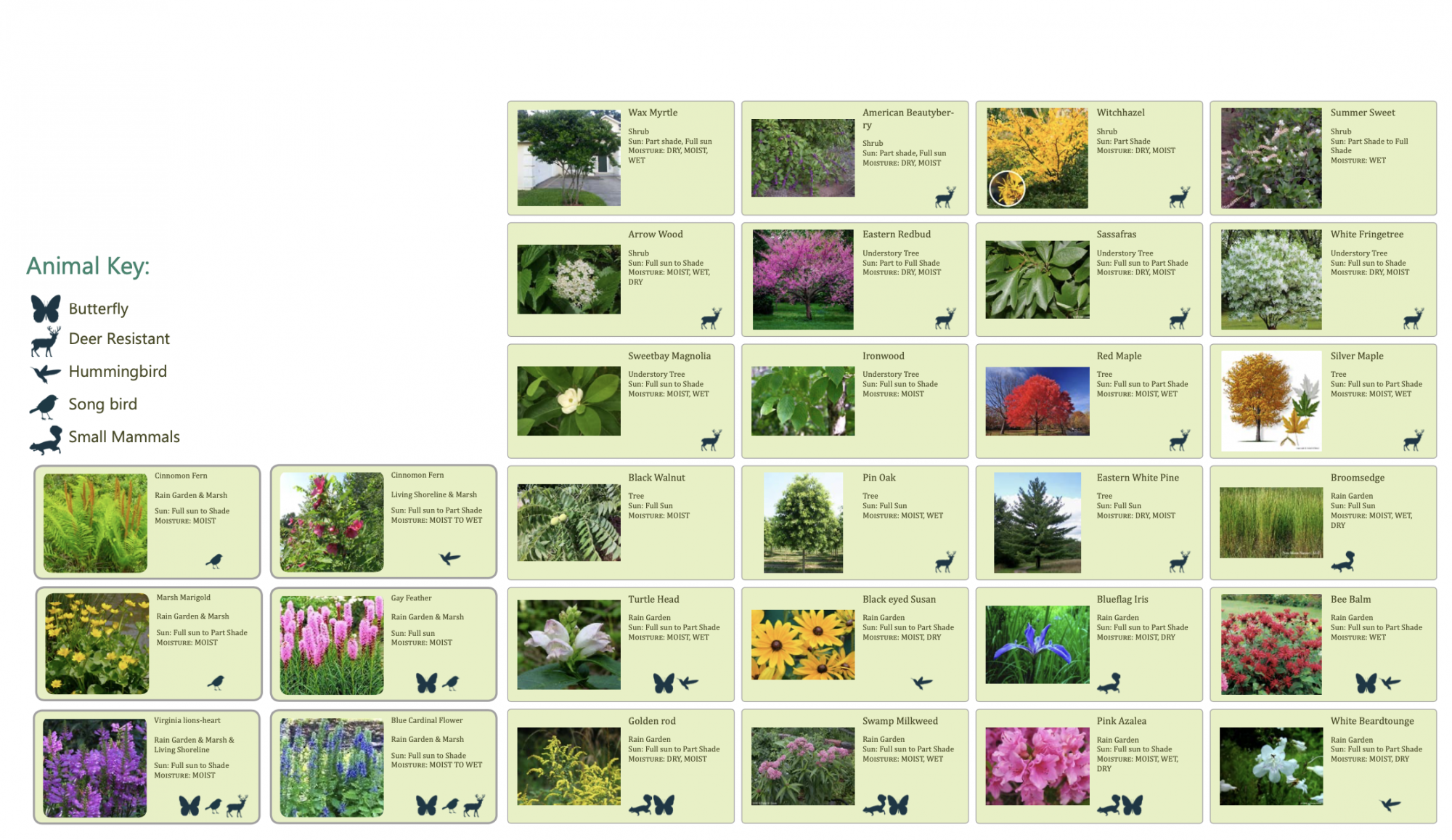 plant palette