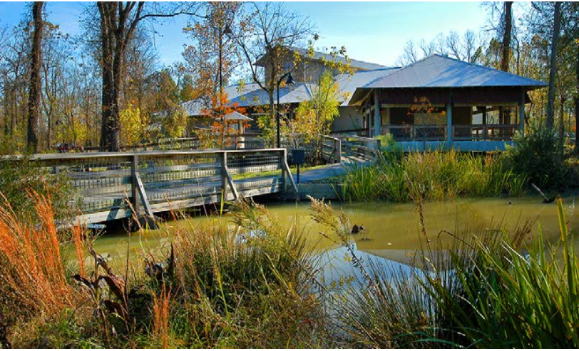bridge over pond