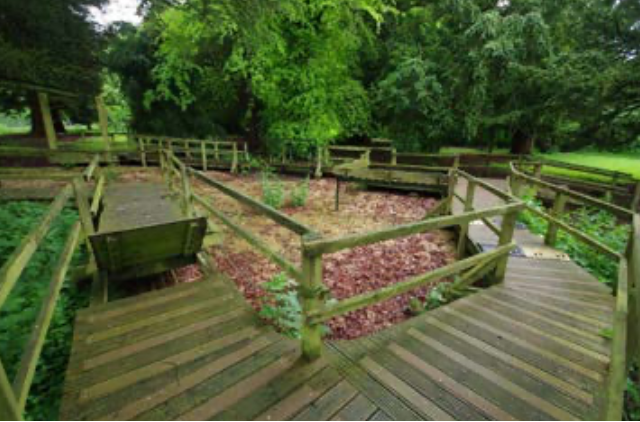 wooden trail