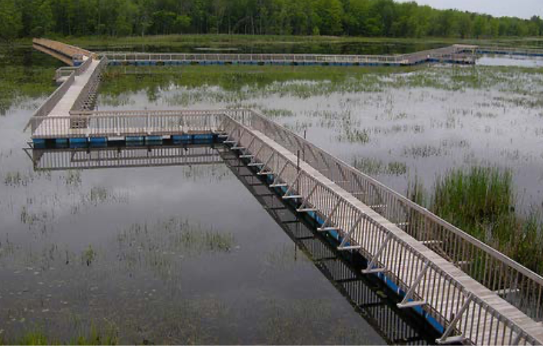 walkway over wetland 