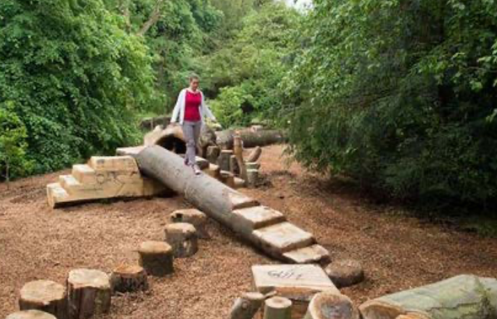 woman walking on logs