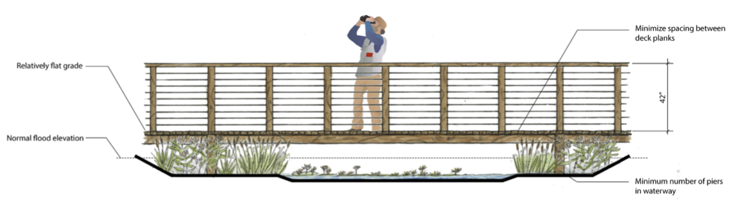 Wetland Boardwalk Section