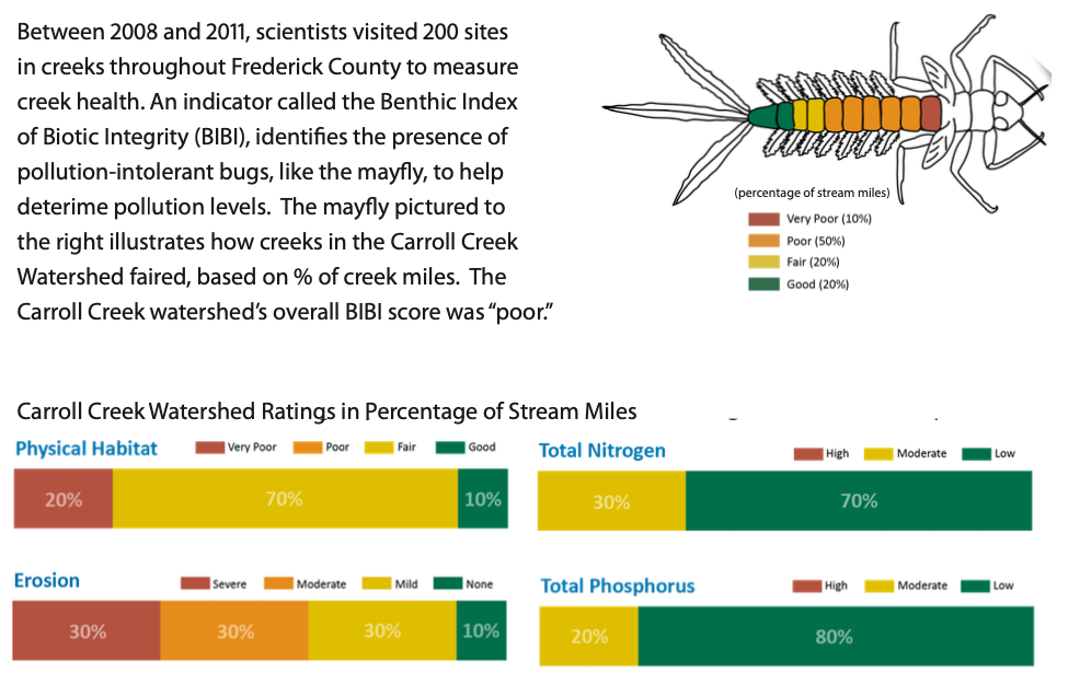 Carroll Creek Watershed In-Stream Health