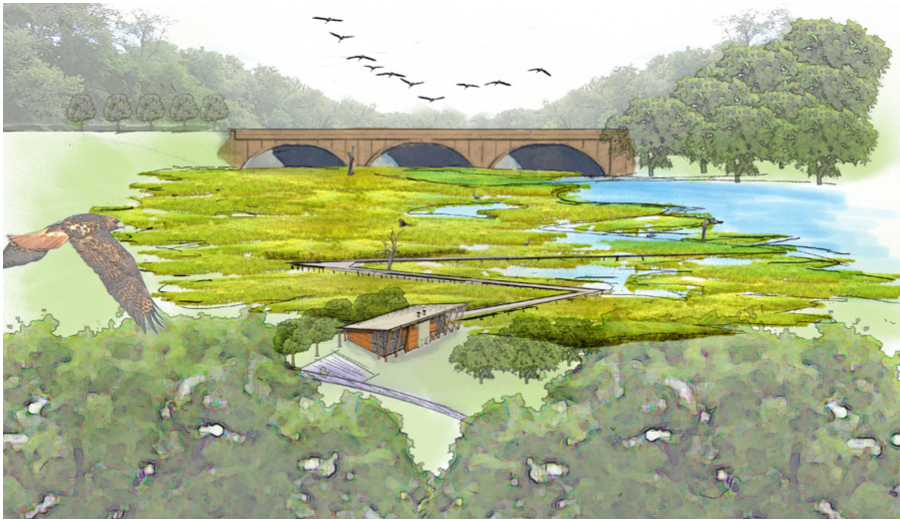 Meadow and Forest Habitats