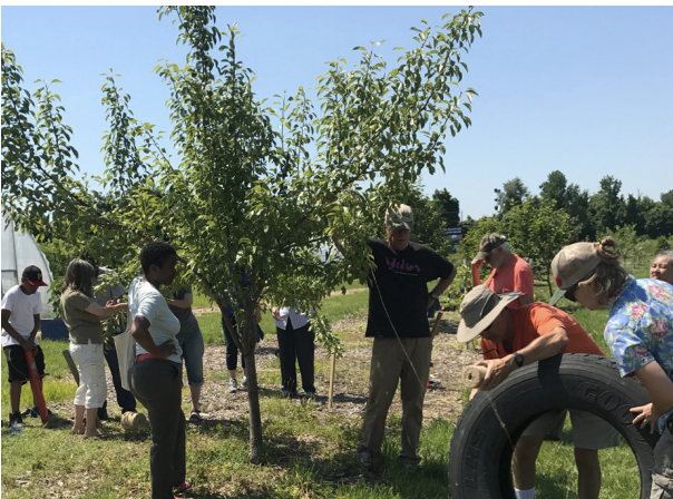 People in tree nursery