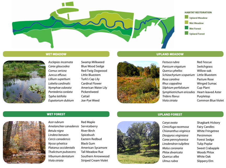 Proposed Habitats and Representative Plant Species