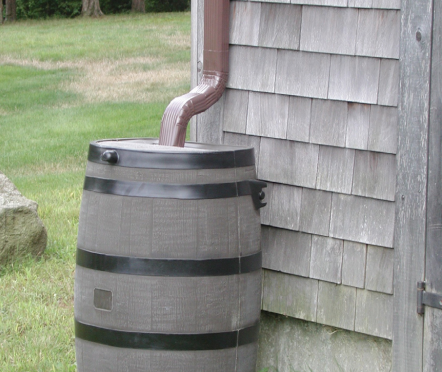 Rain barrel