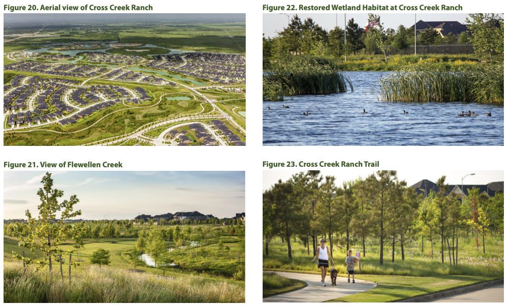 Views of Carroll Creek