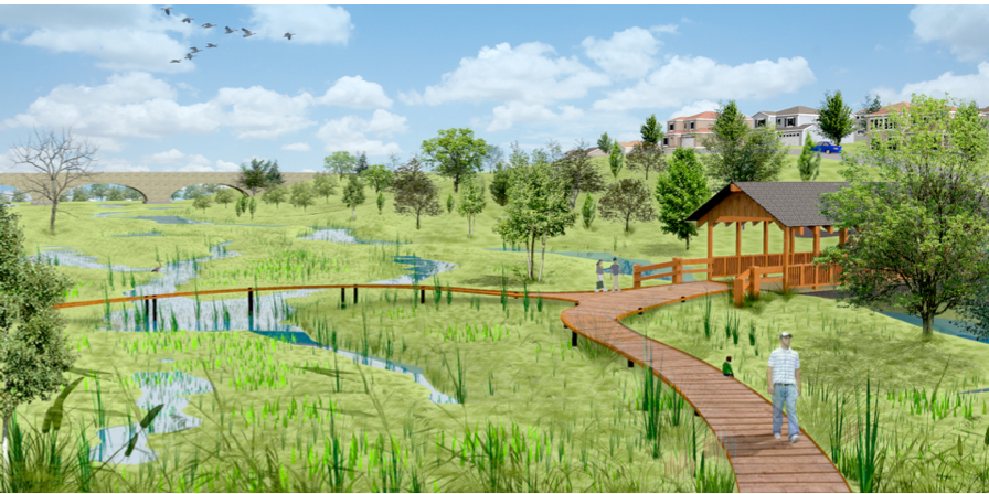 Wetland Boardwalk
